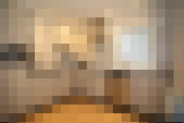 Zekteweg 6 a Geesteren thumbnail 19