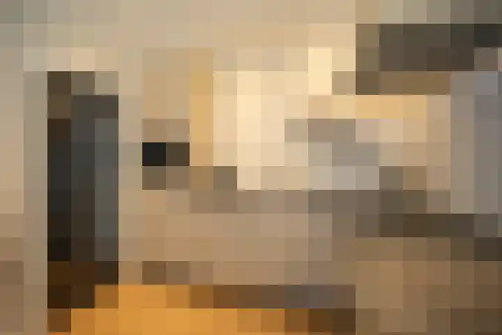Zekteweg 6 a Geesteren thumbnail 20