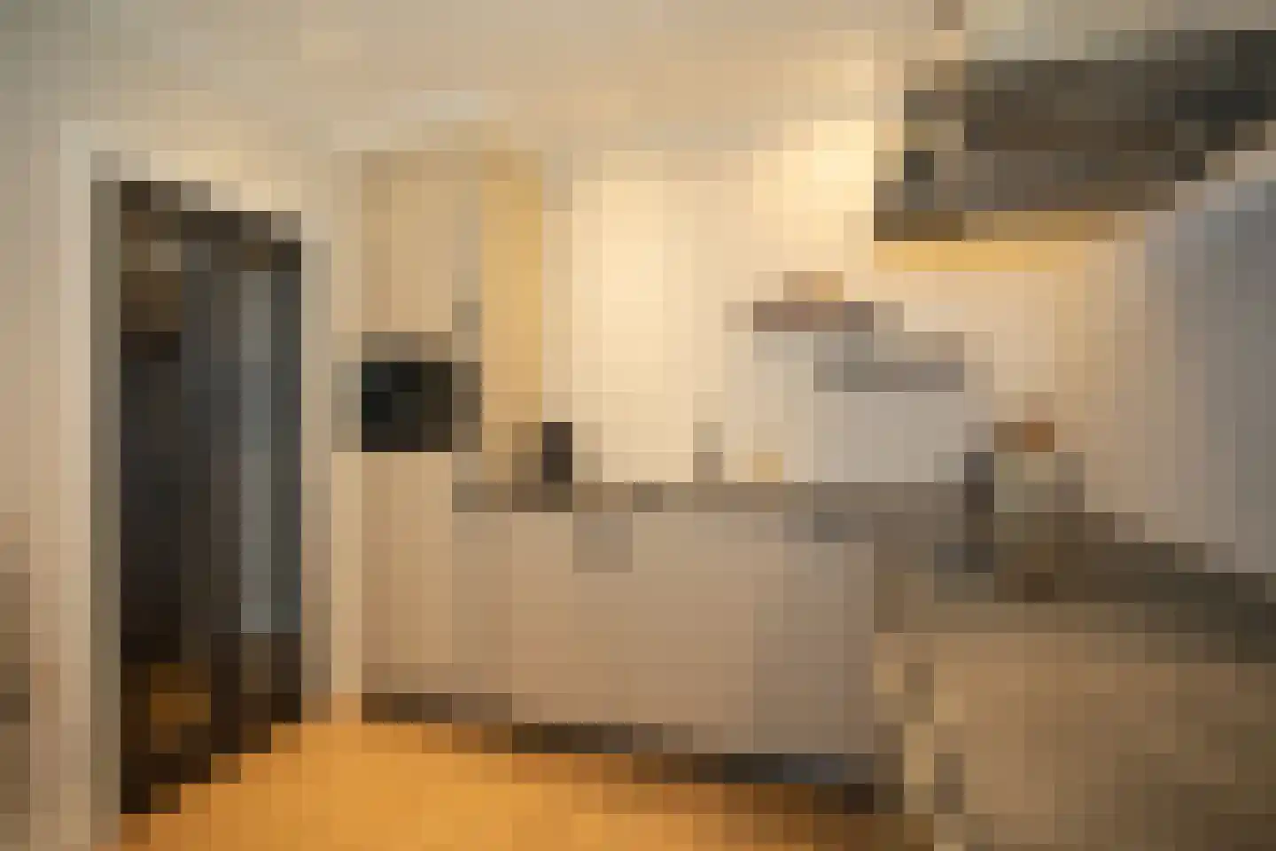 Zekteweg 6 a Geesteren thumbnail 22