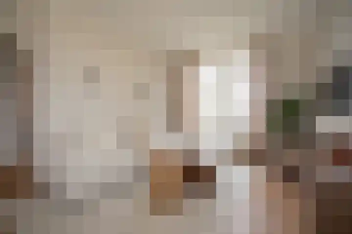 Zekteweg 6 a Geesteren thumbnail 23