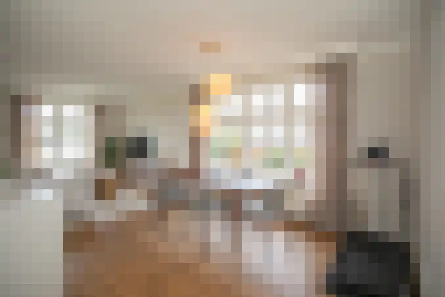 Zekteweg 6 a Geesteren thumbnail 23