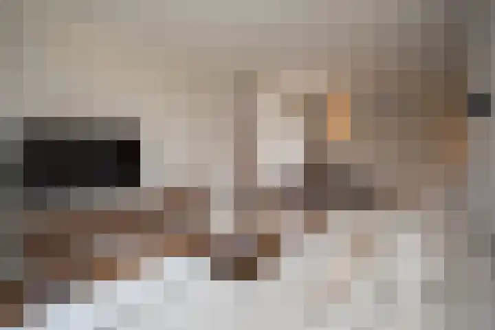 Zekteweg 6 a Geesteren thumbnail 25