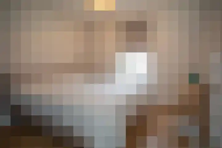 Zekteweg 6 a Geesteren thumbnail 28