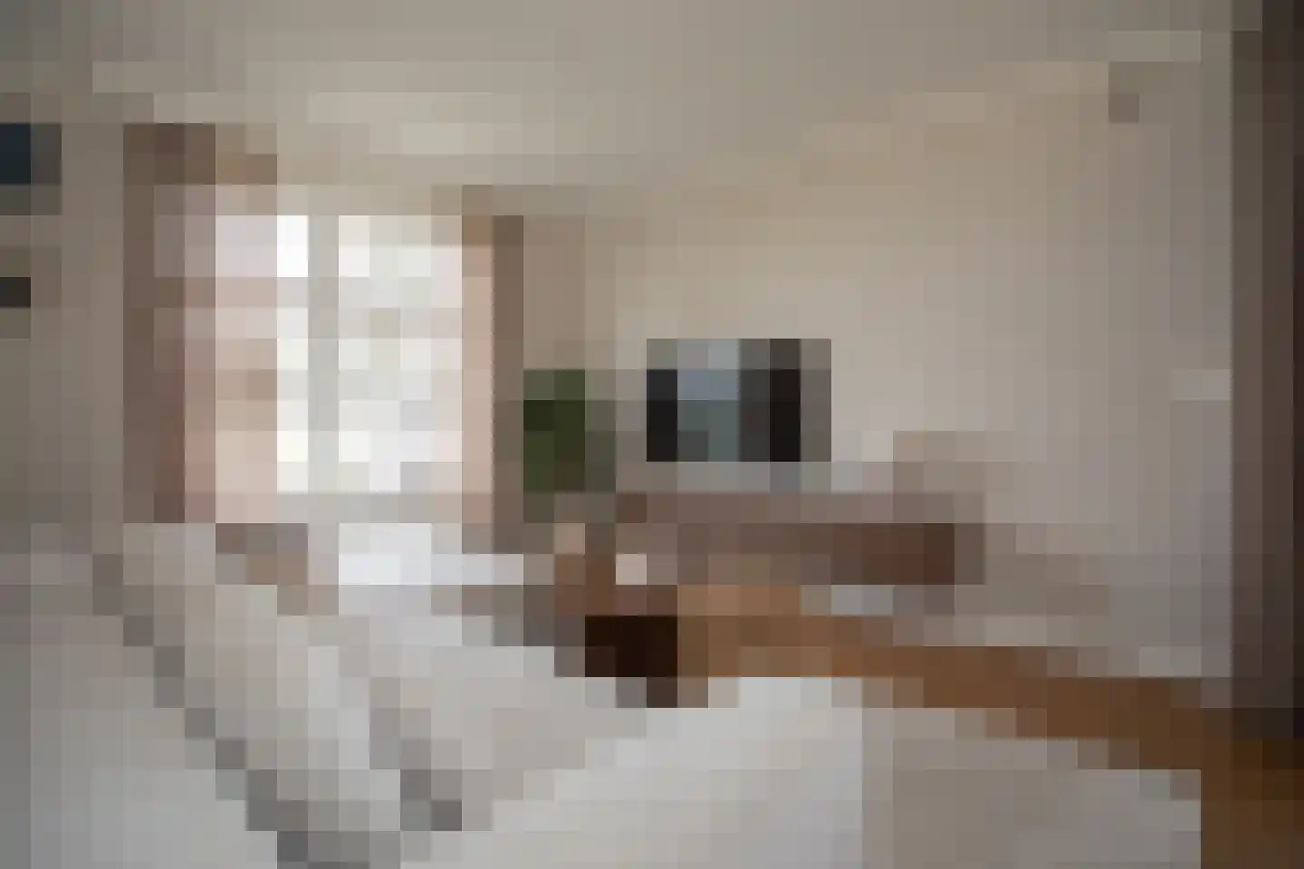 Zekteweg 6 a Geesteren thumbnail 28
