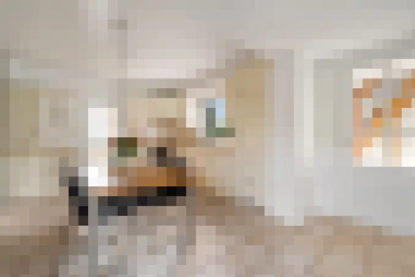 Zekteweg 6 a Geesteren thumbnail 31