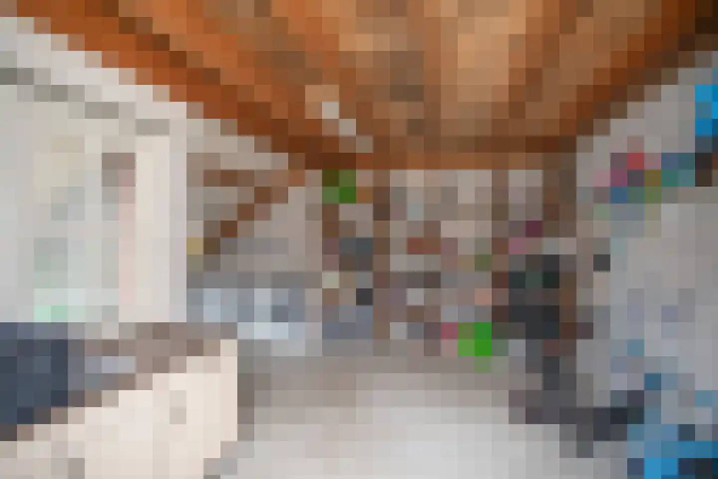 Zekteweg 6 a Geesteren thumbnail 34