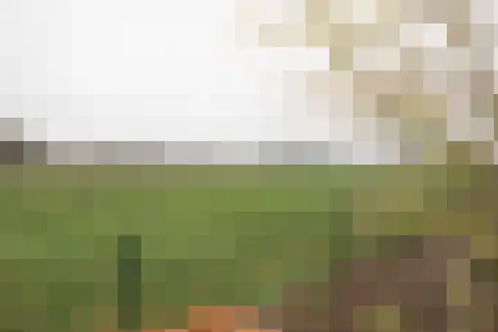 Zekteweg 6 a Geesteren thumbnail 34