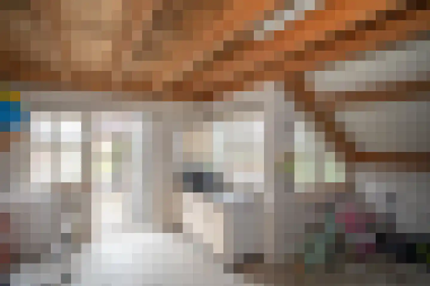 Zekteweg 6 a Geesteren thumbnail 35