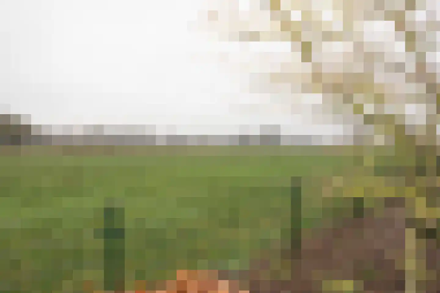Zekteweg 6 a Geesteren thumbnail 36