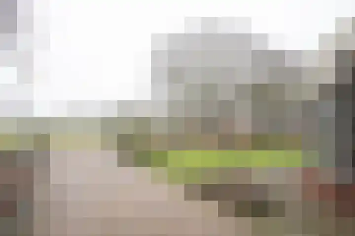 Zekteweg 6 a Geesteren thumbnail 37