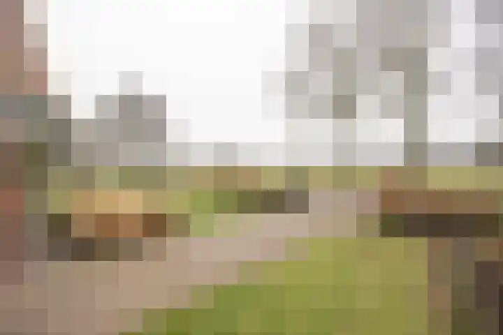 Zekteweg 6 a Geesteren thumbnail 4