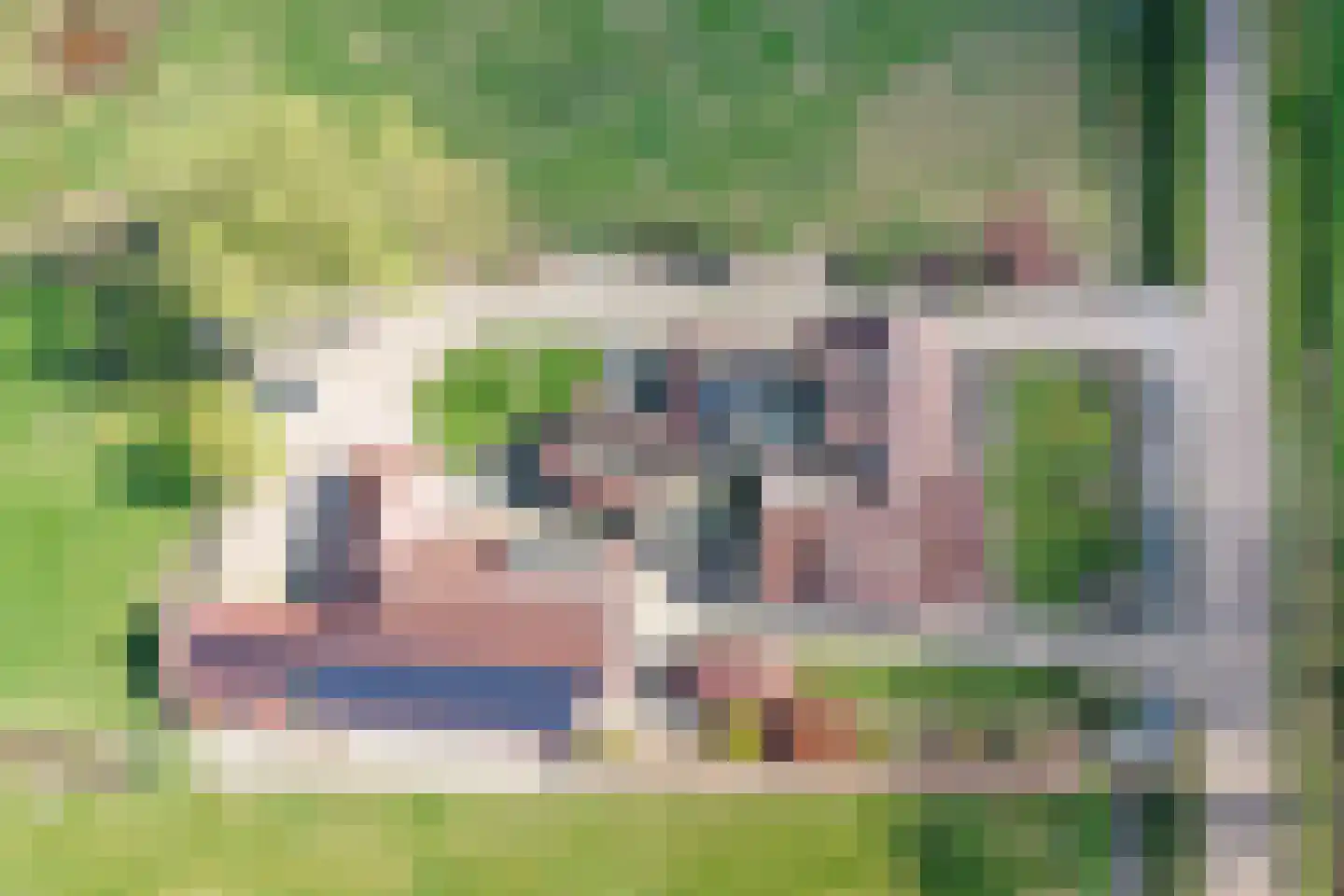 Zekteweg 6 a Geesteren thumbnail 4