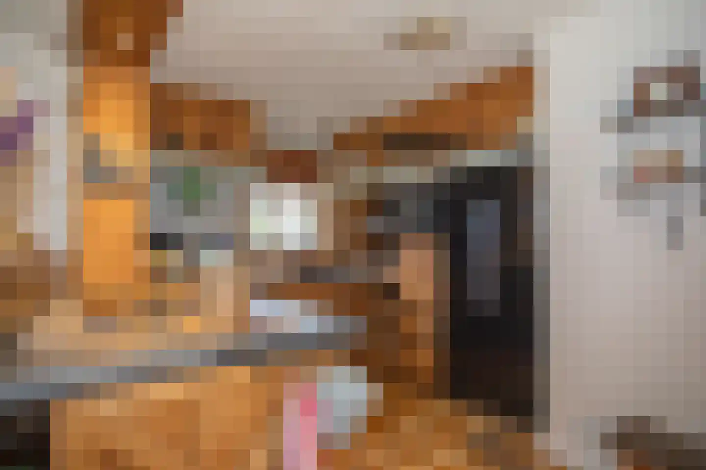 Zekteweg 6 a Geesteren thumbnail 43