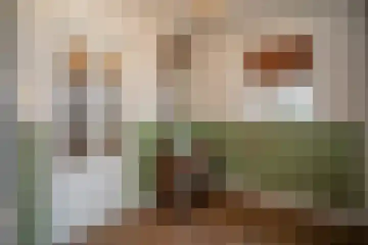 Zekteweg 6 a Geesteren thumbnail 44