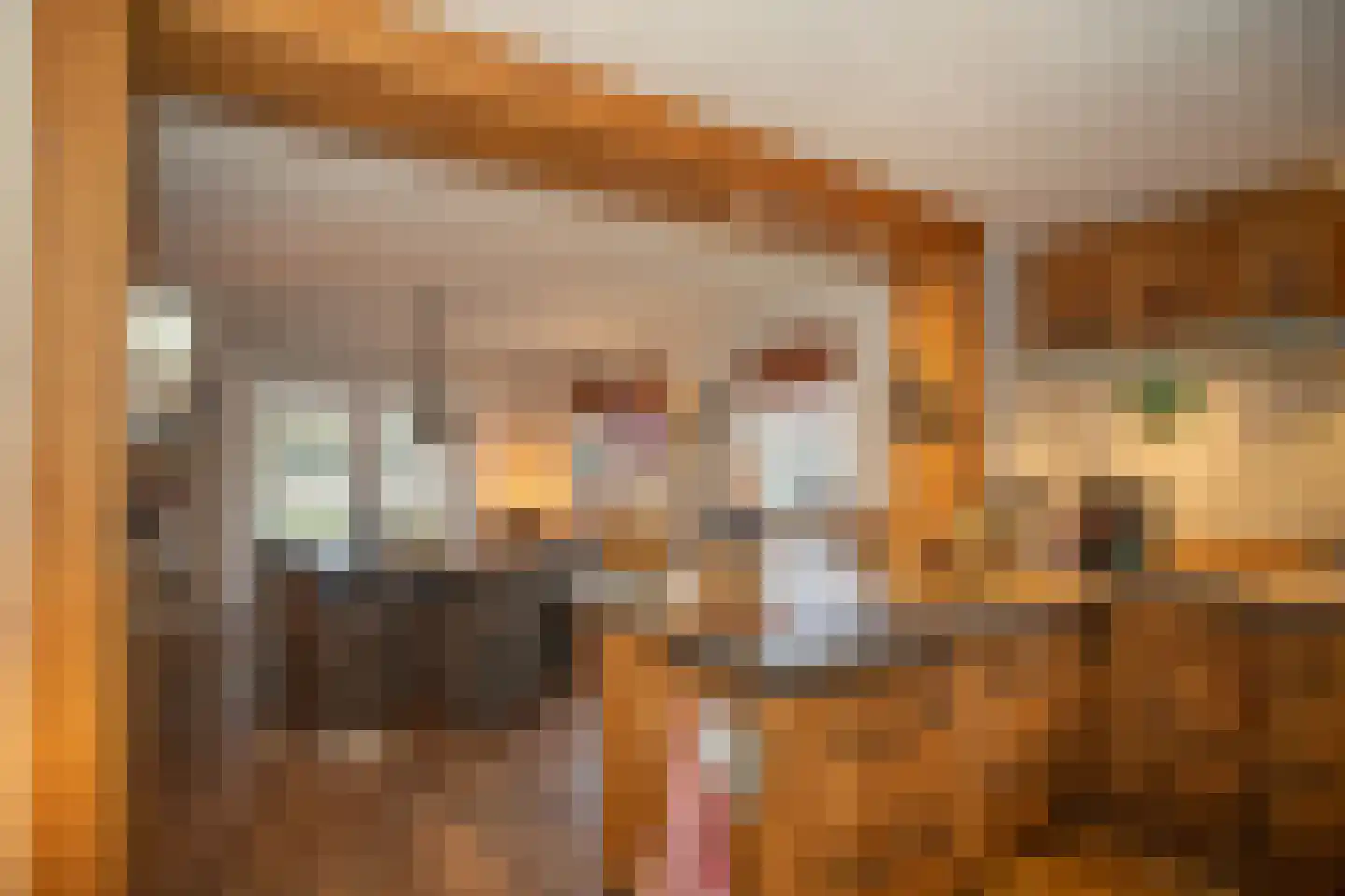Zekteweg 6 a Geesteren thumbnail 45