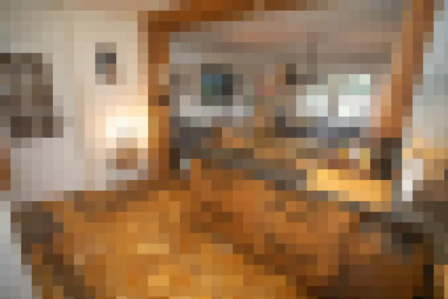 Zekteweg 6 a Geesteren thumbnail 46