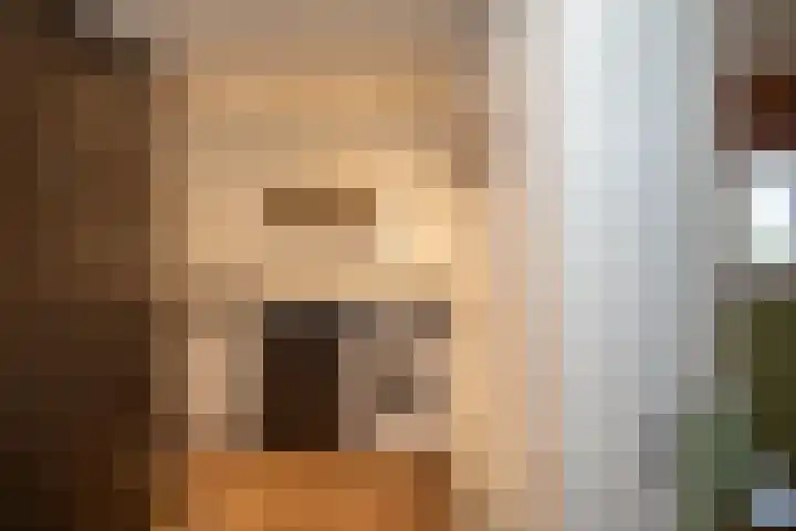 Zekteweg 6 a Geesteren thumbnail 46