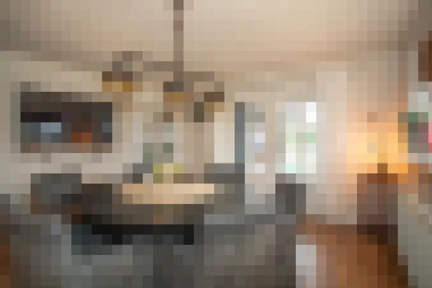 Zekteweg 6 a Geesteren thumbnail 47