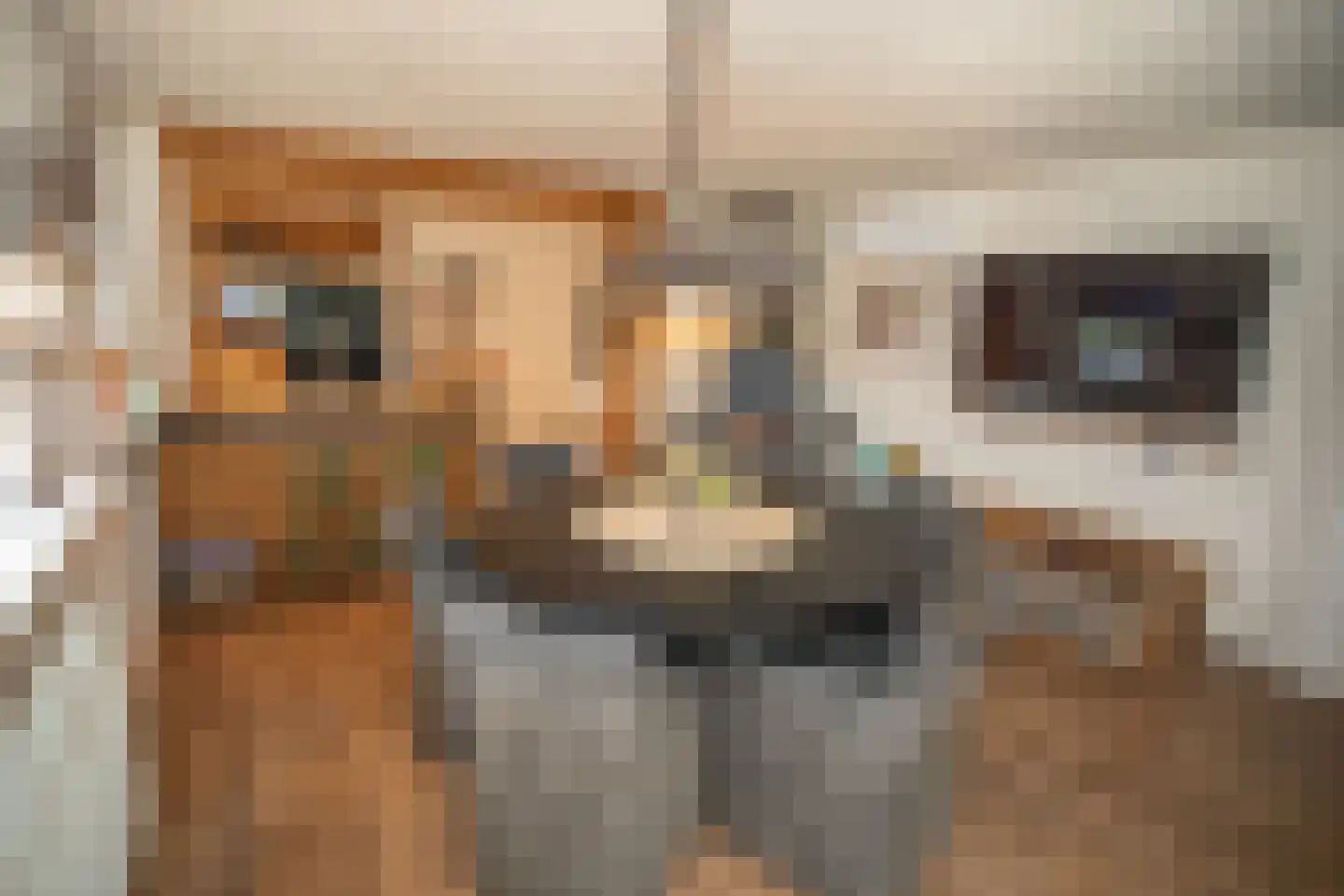 Zekteweg 6 a Geesteren thumbnail 48