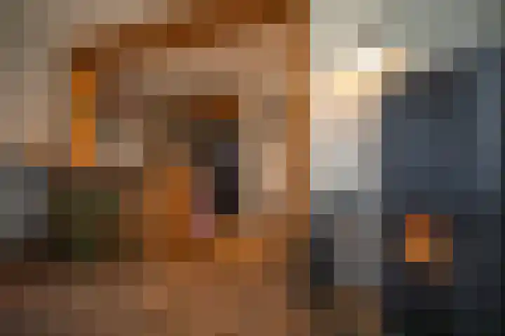 Zekteweg 6 a Geesteren thumbnail 48