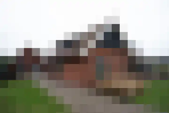 Zekteweg 6 a Geesteren thumbnail 5