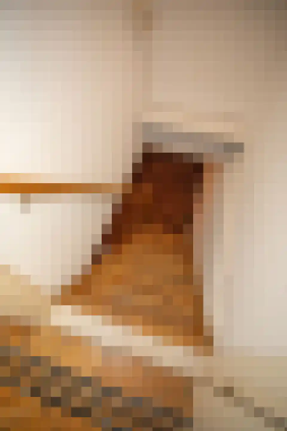 Zekteweg 6 a Geesteren thumbnail 51