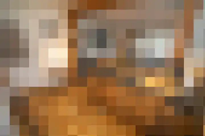 Zekteweg 6 a Geesteren thumbnail 52