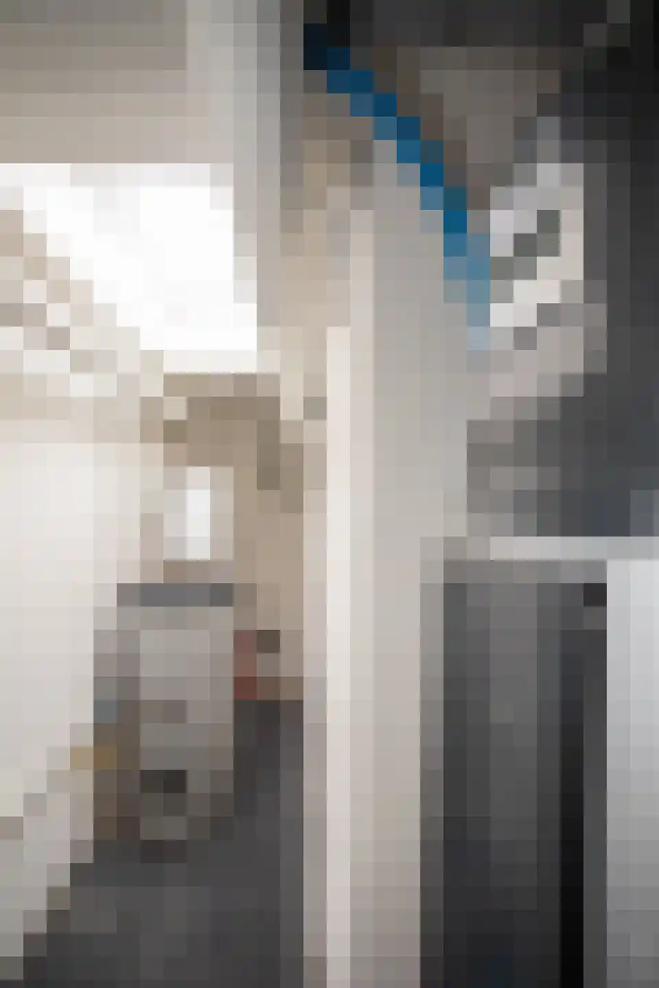 Zekteweg 6 a Geesteren thumbnail 53