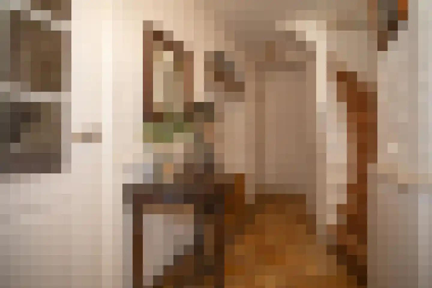 Zekteweg 6 a Geesteren thumbnail 54