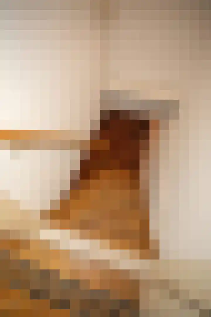 Zekteweg 6 a Geesteren thumbnail 57
