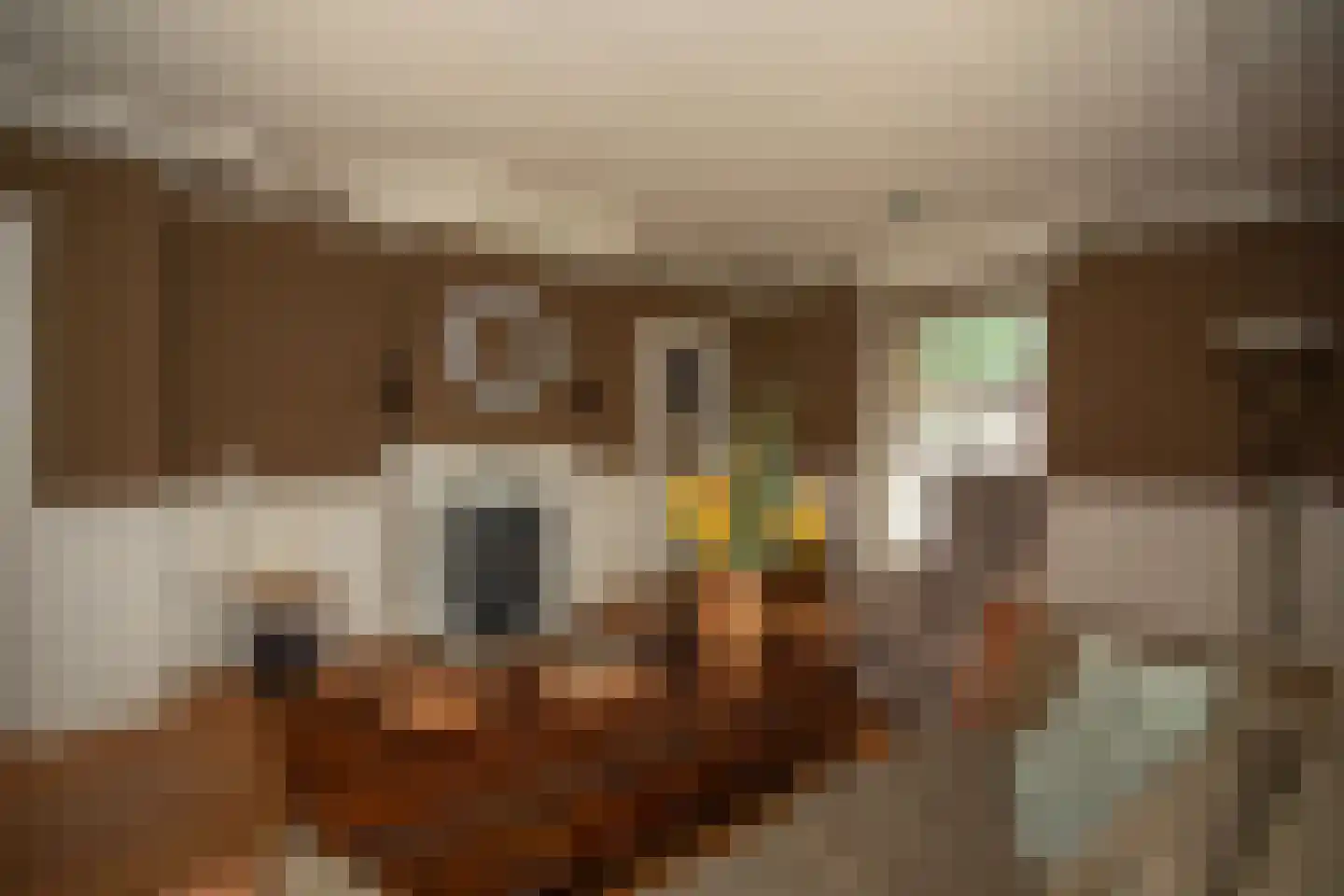 Zekteweg 6 a Geesteren thumbnail 59