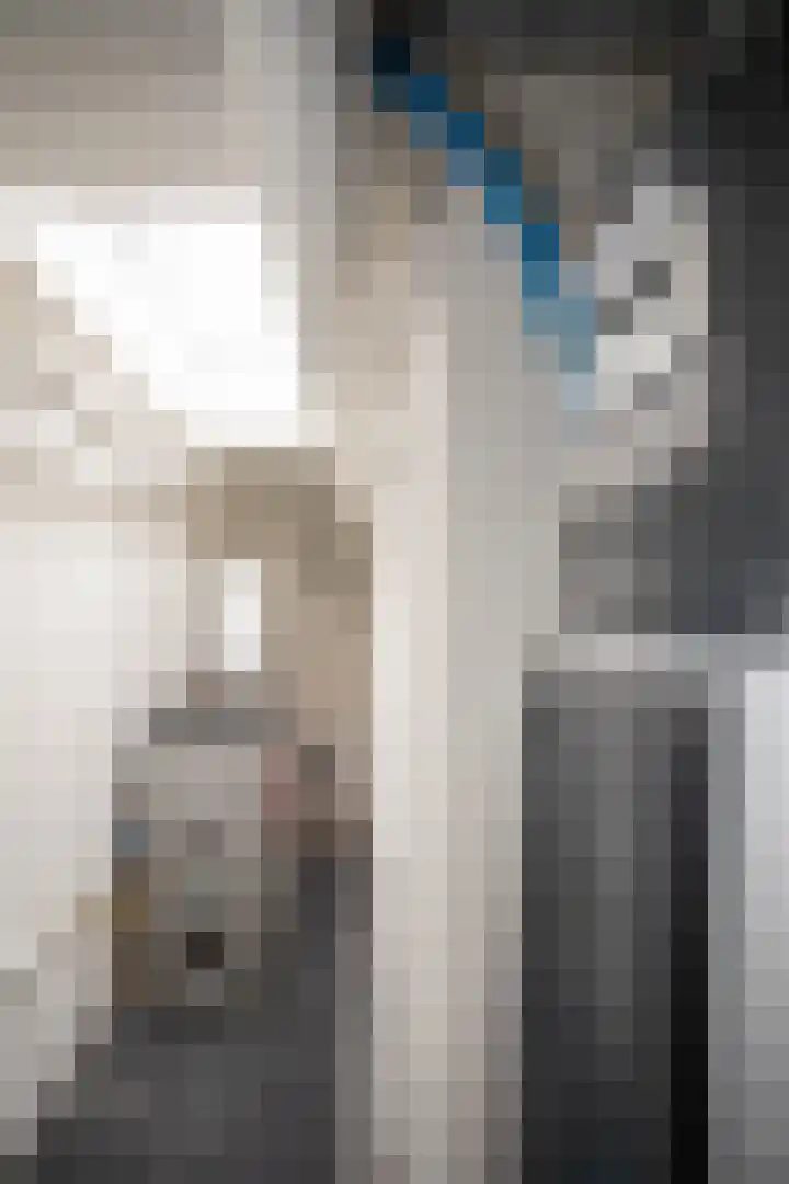 Zekteweg 6 a Geesteren thumbnail 59