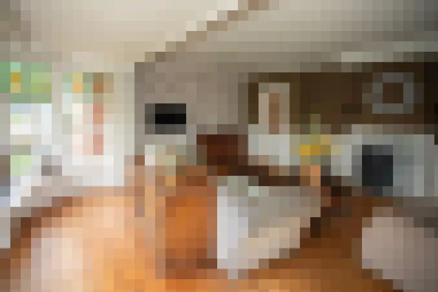 Zekteweg 6 a Geesteren thumbnail 60