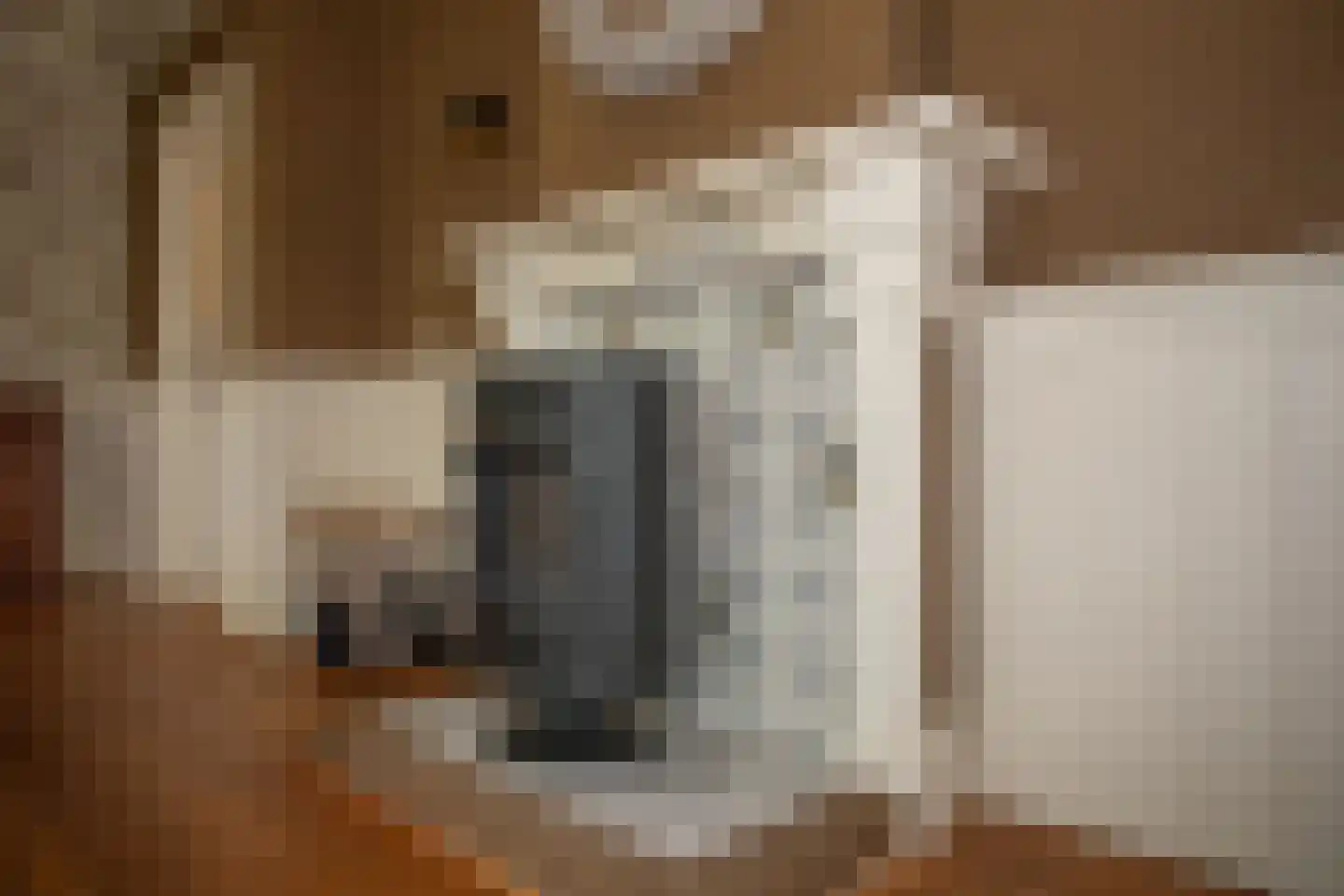Zekteweg 6 a Geesteren thumbnail 61