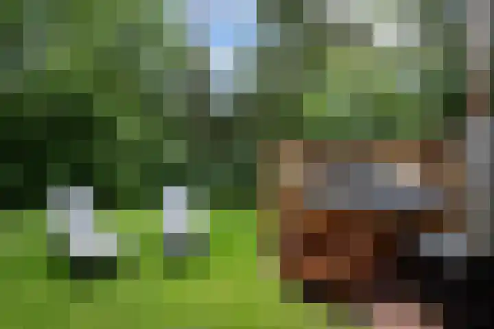 Zekteweg 6 a Geesteren thumbnail 62