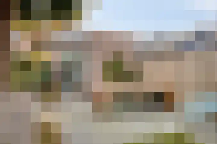 Zekteweg 6 a Geesteren thumbnail 63