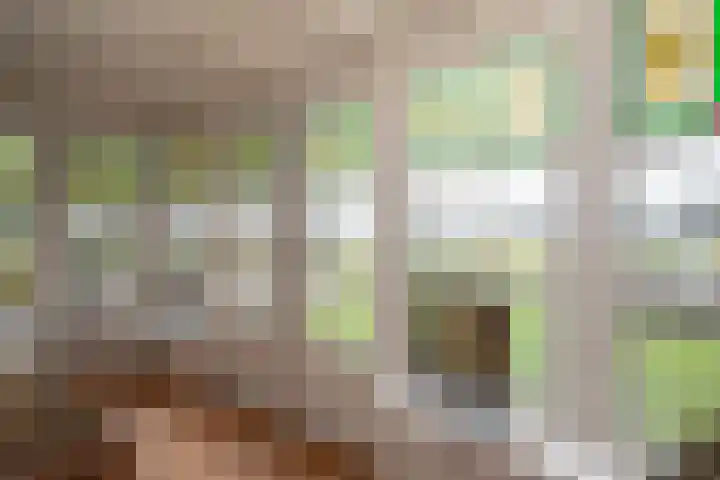 Zekteweg 6 a Geesteren thumbnail 64