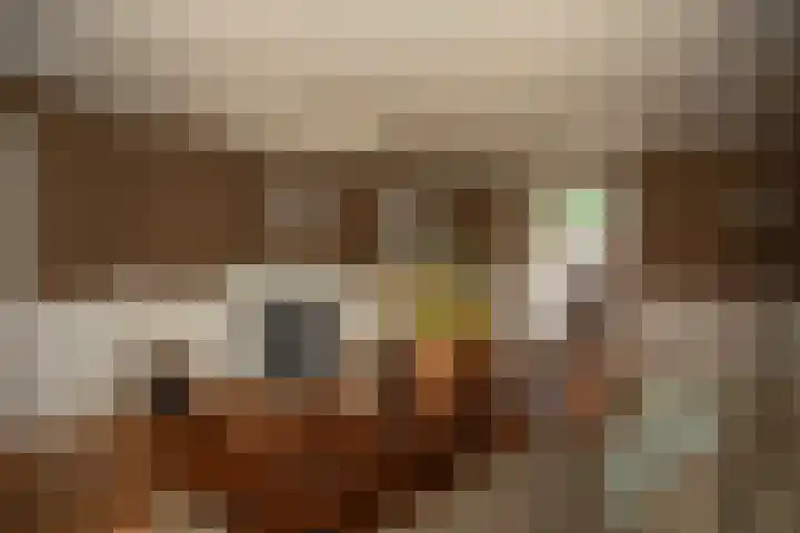 Zekteweg 6 a Geesteren thumbnail 65