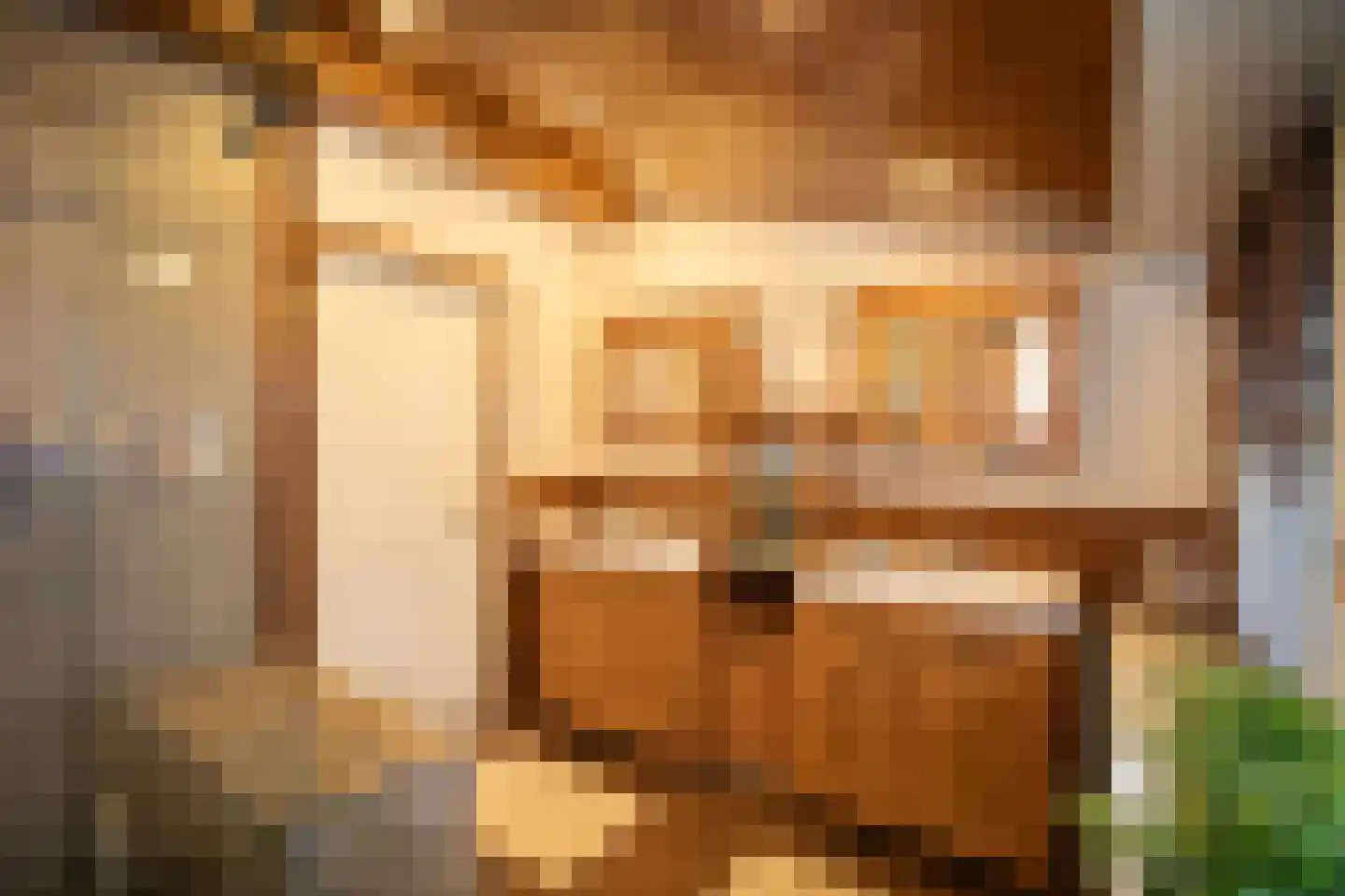 Zekteweg 6 a Geesteren thumbnail 65
