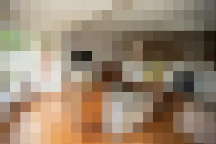 Zekteweg 6 a Geesteren thumbnail 66
