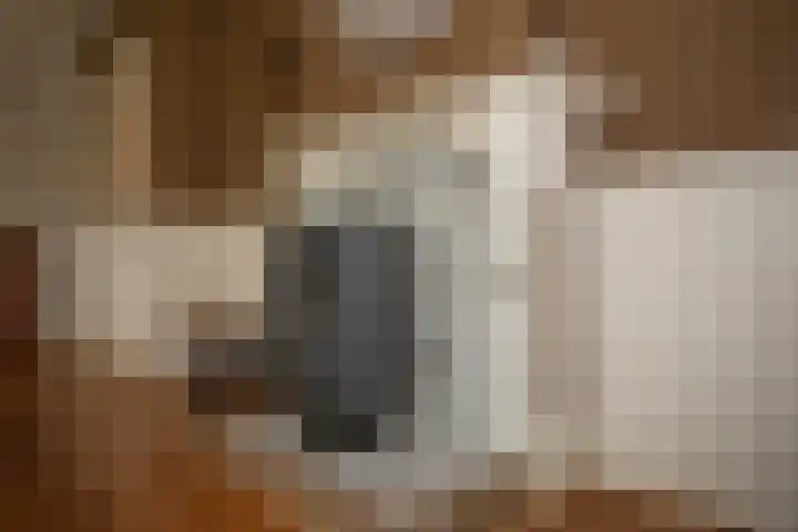 Zekteweg 6 a Geesteren thumbnail 67