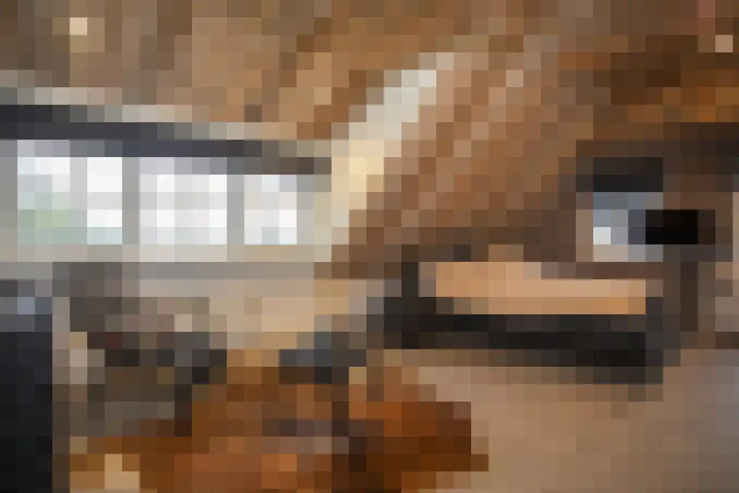 Zekteweg 6 a Geesteren thumbnail 72