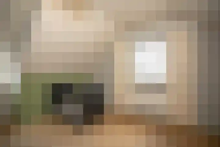 Zekteweg 6 a Geesteren thumbnail 72
