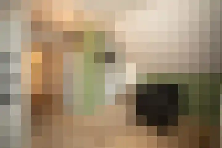 Zekteweg 6 a Geesteren thumbnail 73