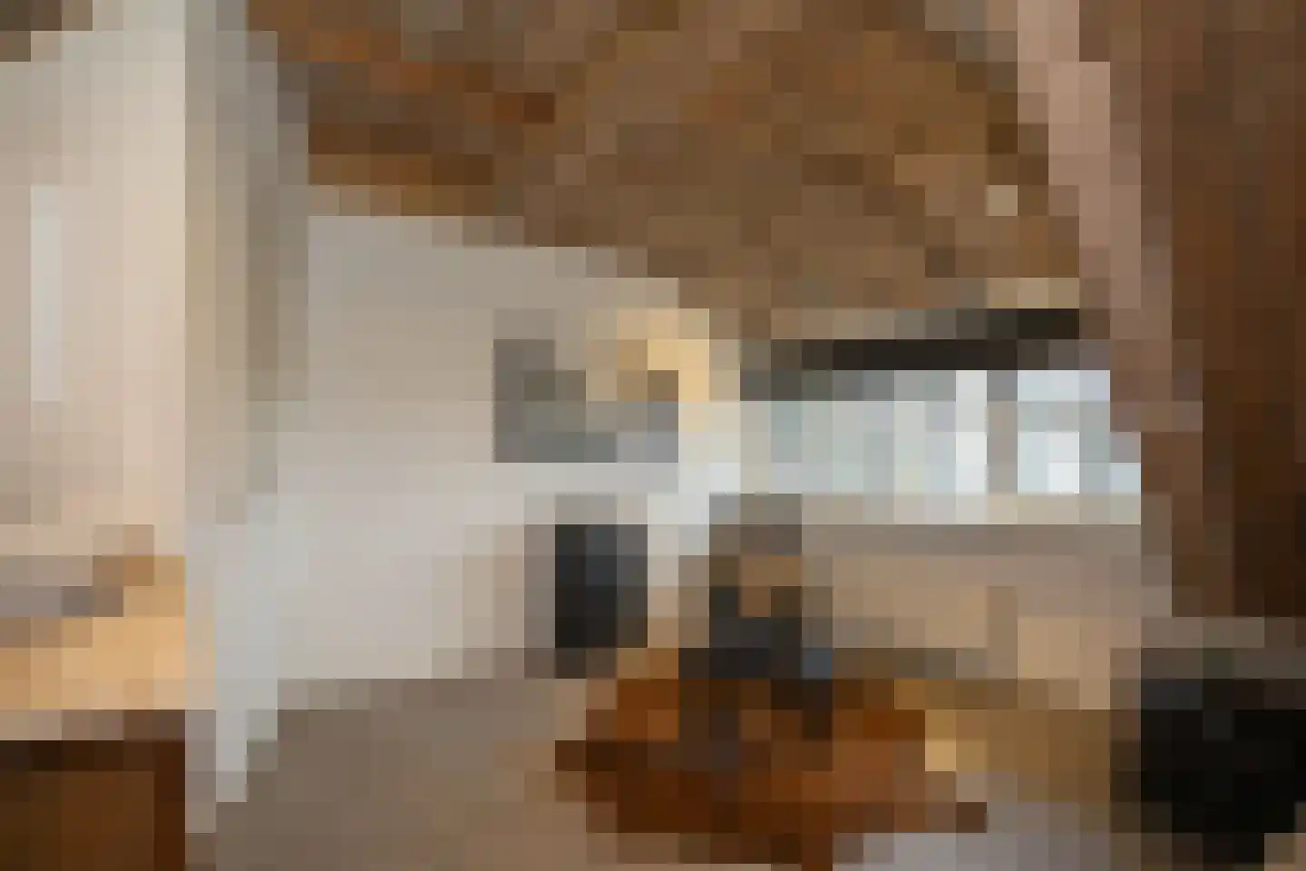 Zekteweg 6 a Geesteren thumbnail 75