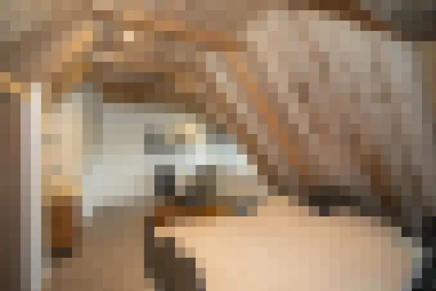 Zekteweg 6 a Geesteren thumbnail 76