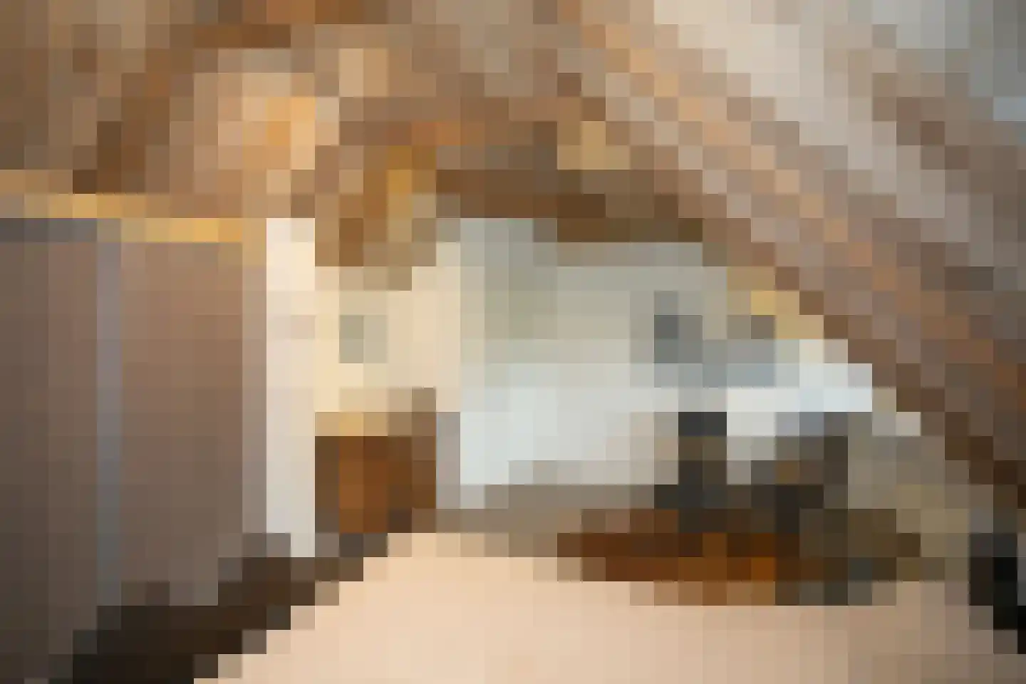Zekteweg 6 a Geesteren thumbnail 77