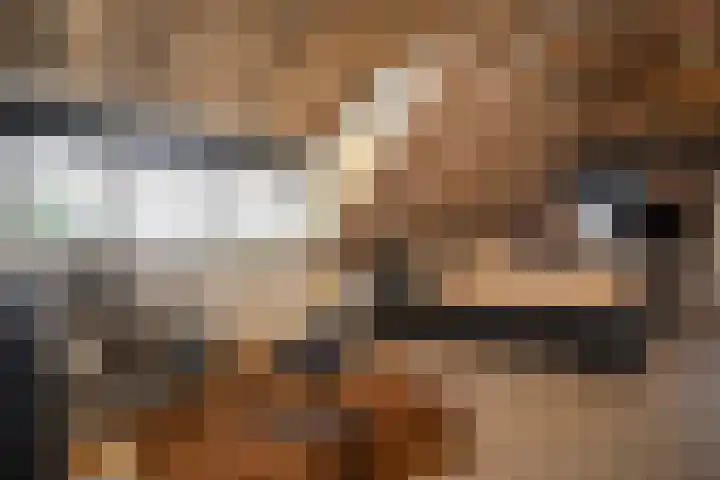 Zekteweg 6 a Geesteren thumbnail 78