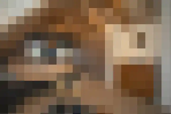 Zekteweg 6 a Geesteren thumbnail 79