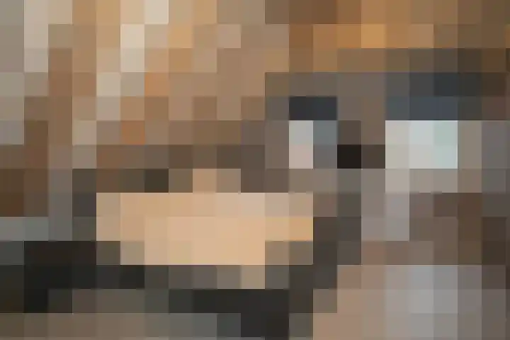 Zekteweg 6 a Geesteren thumbnail 80